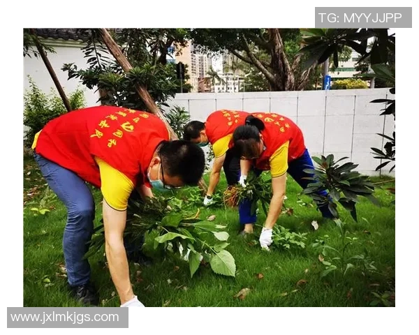 V5团队协作能力解析精英赛中展现的默契与配合之道 V5团队协作能力解析精英赛中展现的默契与配合之道