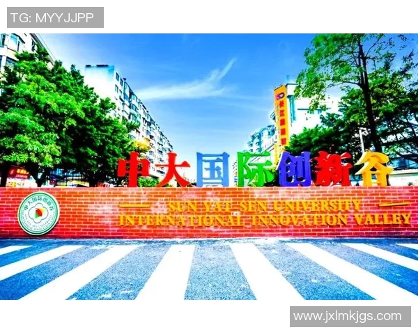 广州排球队快攻革新之路：战术变革与团队协作的完美结合