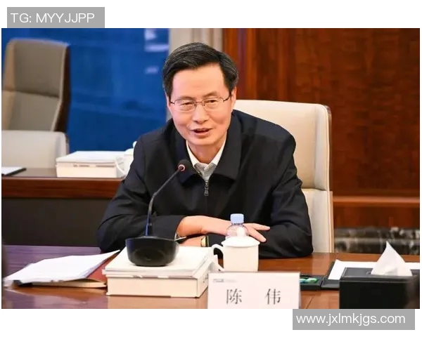 深度对话：陈伟的篮球人生